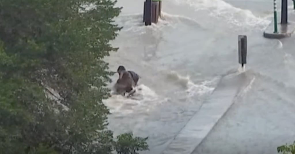 Un Montréalais essaye de traverser l'inondation majeure à vélo et il a vécu toute une aventure