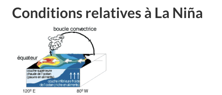 Un élément pourrait grandement impacter le cours de l'hiver au Québec en 2024-25.