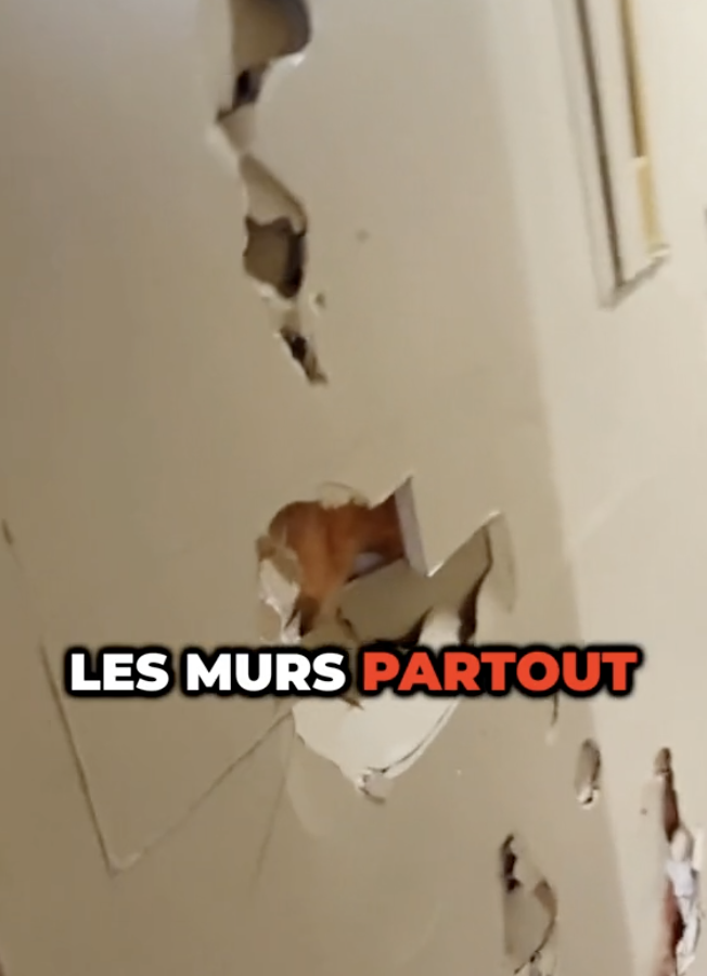 Un propriétaire de Gatineau montre l'état lamentable dans lequel un locataire a laissé son appartement
