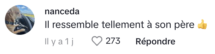 René-Charles Angélil fait énormément jaser les Français tombés sous son charme.