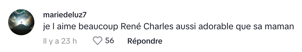 René-Charles Angélil fait énormément jaser les Français tombés sous son charme.