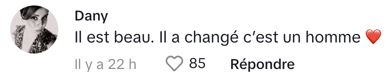 René-Charles Angélil fait énormément jaser les Français tombés sous son charme.