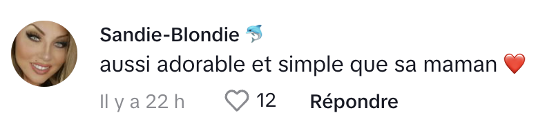 René-Charles Angélil fait énormément jaser les Français tombés sous son charme.