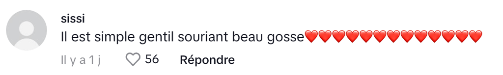 René-Charles Angélil fait énormément jaser les Français tombés sous son charme.