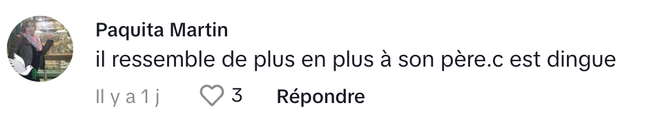 René-Charles Angélil fait énormément jaser les Français tombés sous son charme.