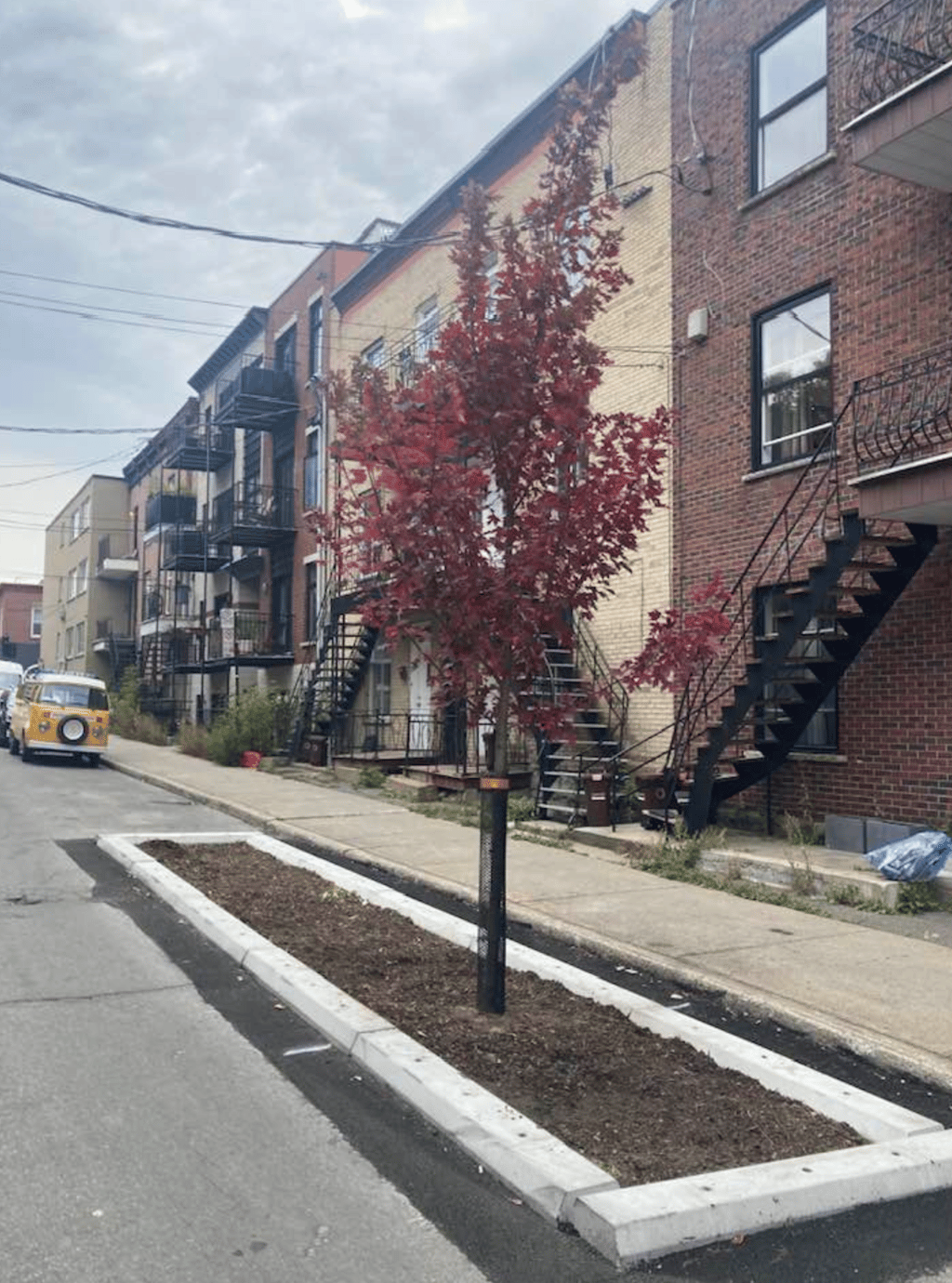 La ville de Montréal se fait ramasser en raison de l'état d'une piste cyclable. 