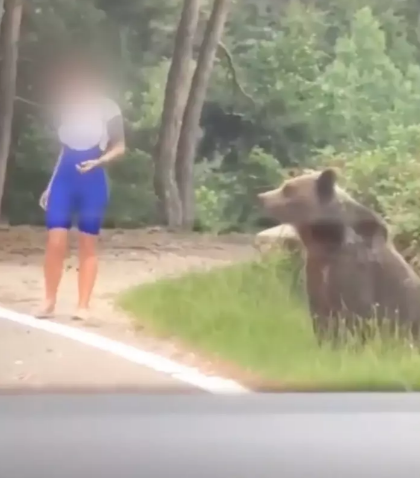 Une femme tente de prendre un selfie avec un ours et ça tourne au cauchemar.