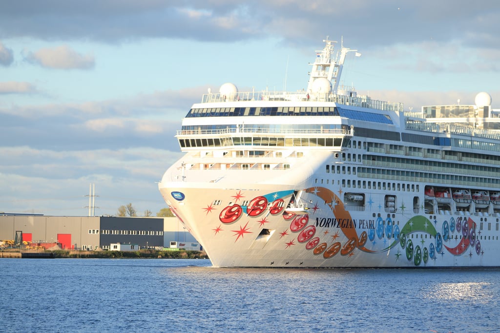 Voici les règles très strictes que doivent respecter les passagers de cette croisière de nudistes.
