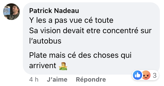 Un automobiliste semble écraser des canards et son geste divise les Québécois