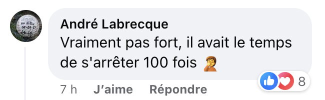 Un automobiliste semble écraser des canards et son geste divise les Québécois