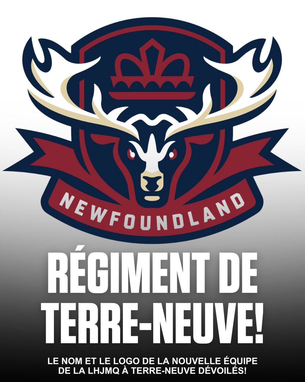 La nouvelle équipe de Saint-Jean à Terre-Neuve dans la LHJMQ dévoile son nom et logo