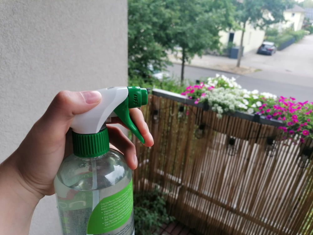 4 façons de chasser les guêpes sans les tuer