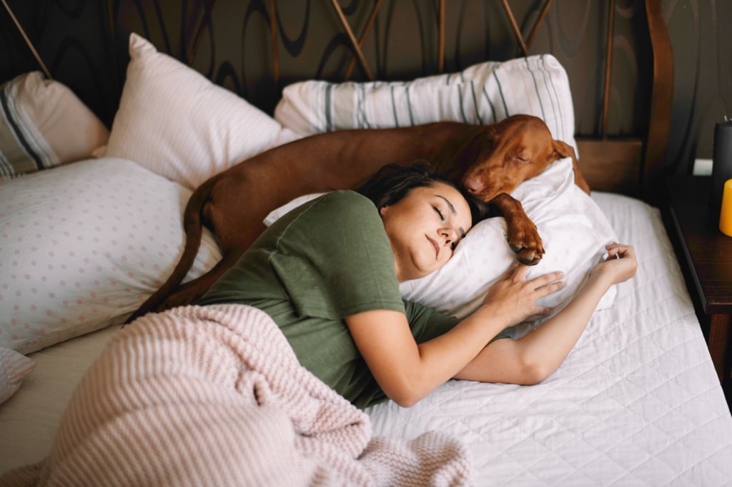 Les femmes dorment mieux avec leur chien qu'avec leur conjoint (ou leur chat)