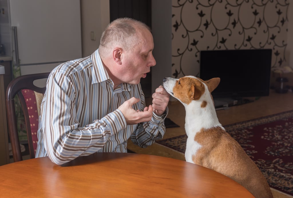 Vous parlez avec votre animal? C’est une preuve de votre grande intelligence!
