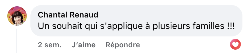 La nouvelle publicité du temps des Fêtes d'IGA fait fondre les Québécois