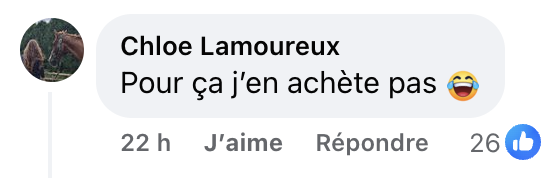 Des Québécois choqués par le prix d'un poulet Ricardo vendu dans un IGA