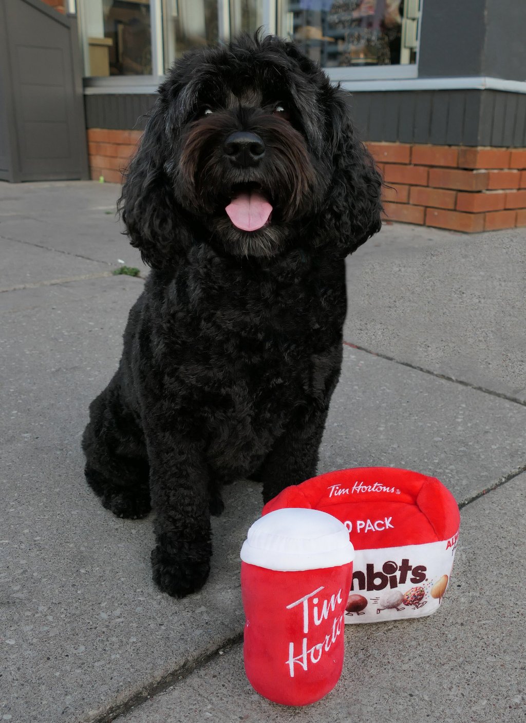 De nouveaux produits inusités font leur apparition chez Tim Horton's