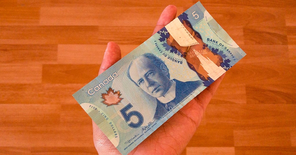 On sait désormais quel visage sera sur les prochains billets de 5 $ et c'est celui de Terry Fox