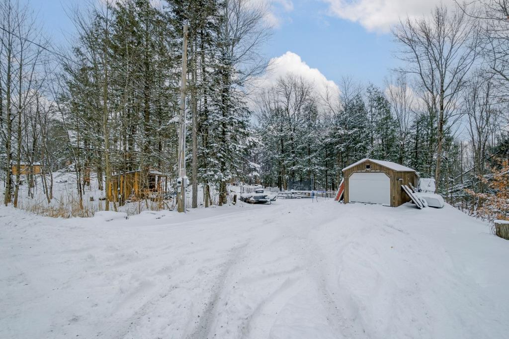 Merveille contemporaine en pleine forêt