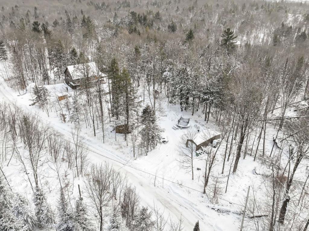 Merveille contemporaine en pleine forêt