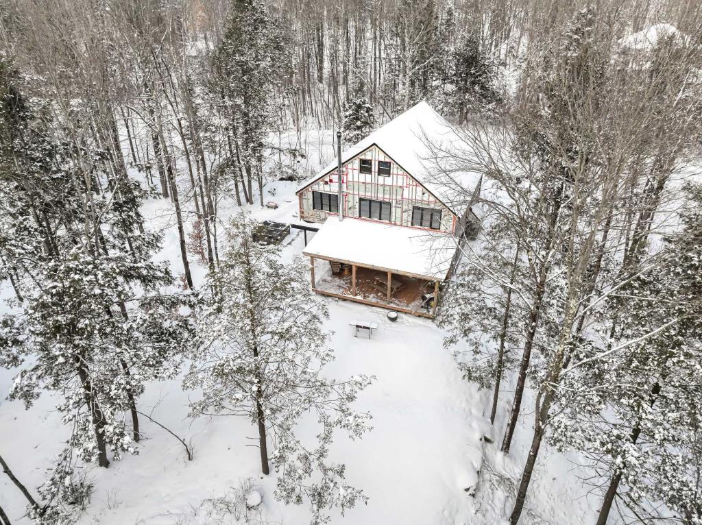 Merveille contemporaine en pleine forêt