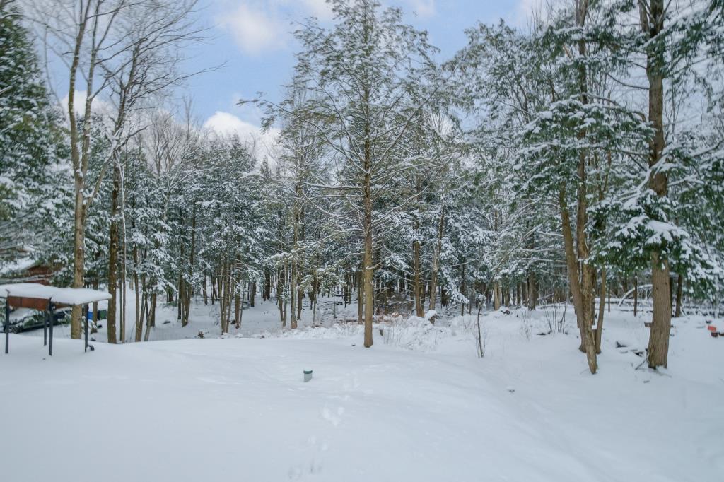 Merveille contemporaine en pleine forêt