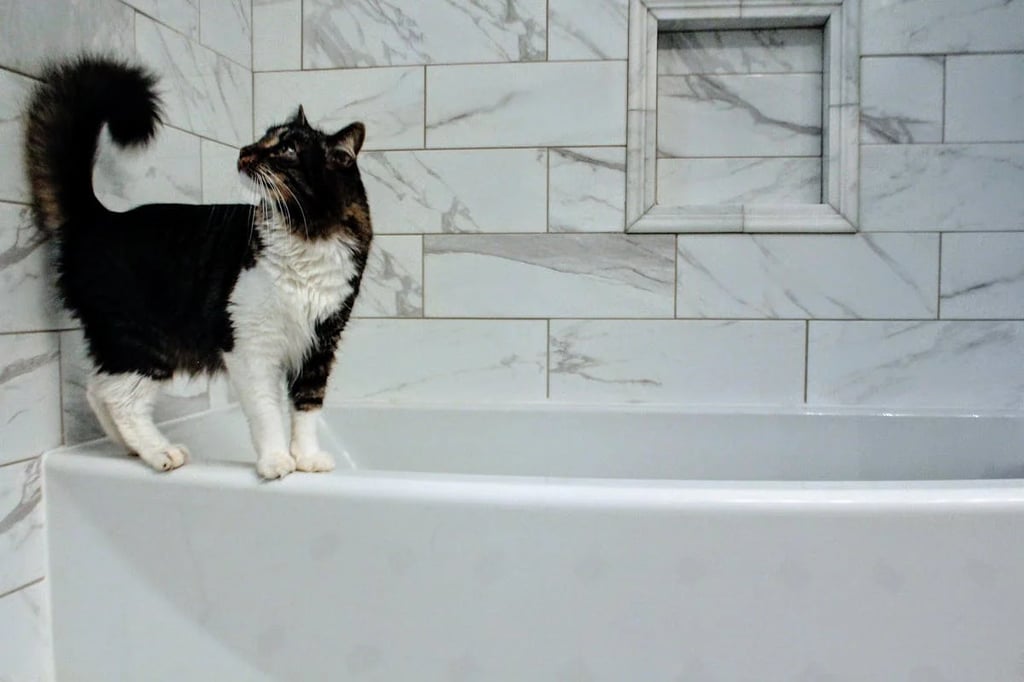 8 conseils pour rénover votre salle de bain sans pour autant vider votre portefeuille 