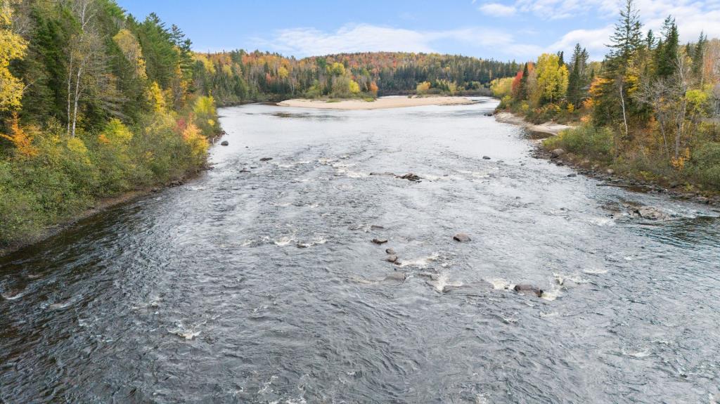 La sérénité absolue vous attend dans ce paradis boisé de plus de 50 acres