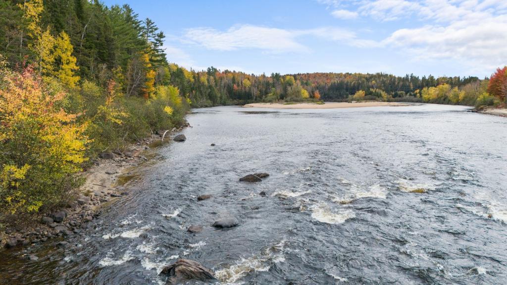 La sérénité absolue vous attend dans ce paradis boisé de plus de 50 acres