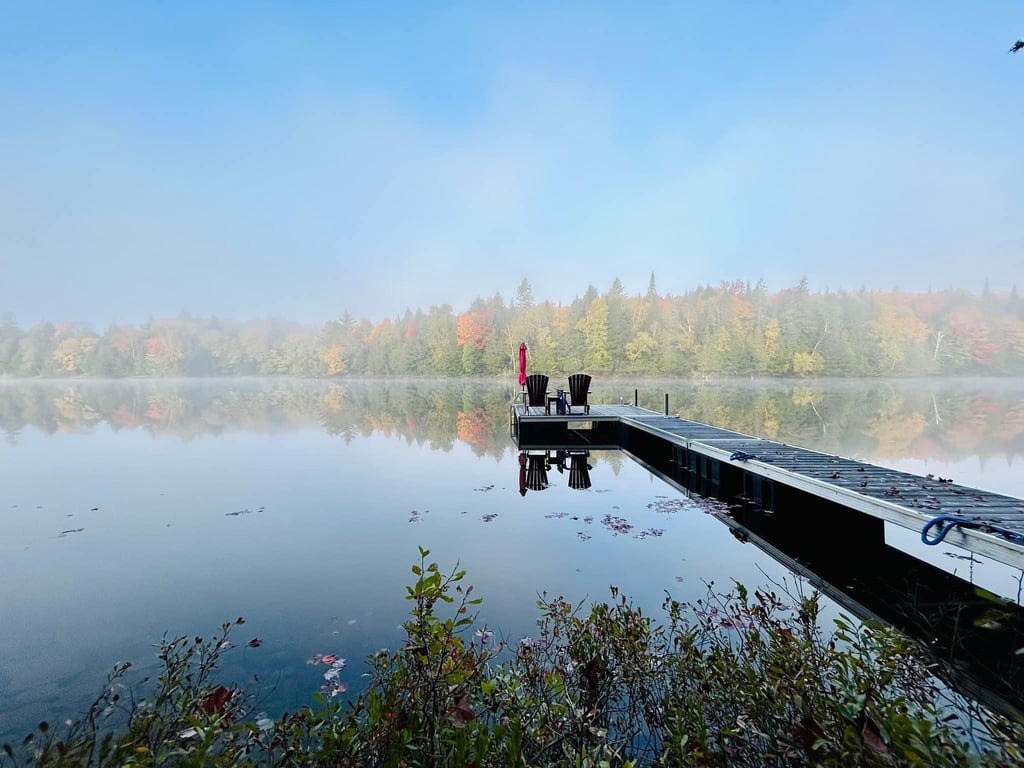 Un havre de paix niché en pleine forêt sur la rive d'un lac à l'eau scintillante vous attend !