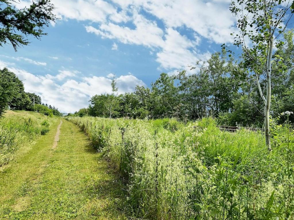 Mignon cottage à 175 000 $ avec une vue imprenable sur l'eau