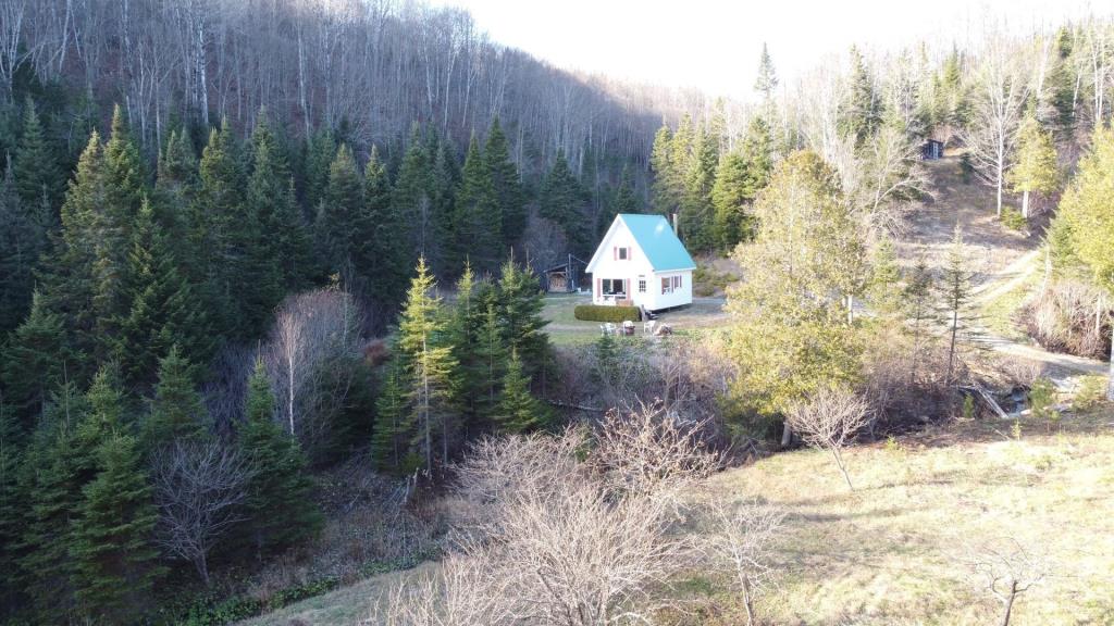 Réfugiez-vous dans l'immensité de la forêt dans ce chalet meublé se vendant 90 000 $