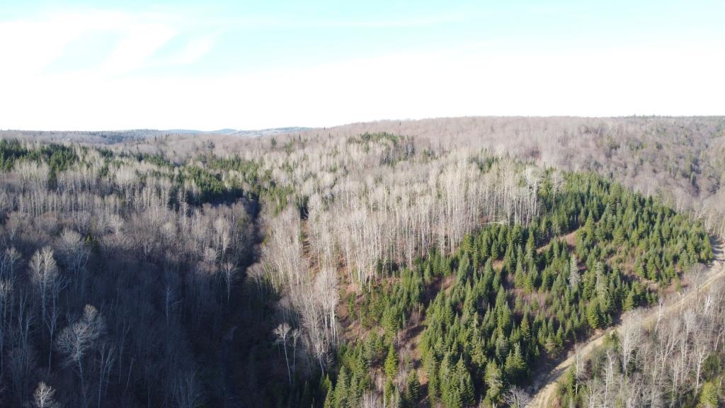 Réfugiez-vous dans l'immensité de la forêt dans ce chalet meublé se vendant 90 000 $