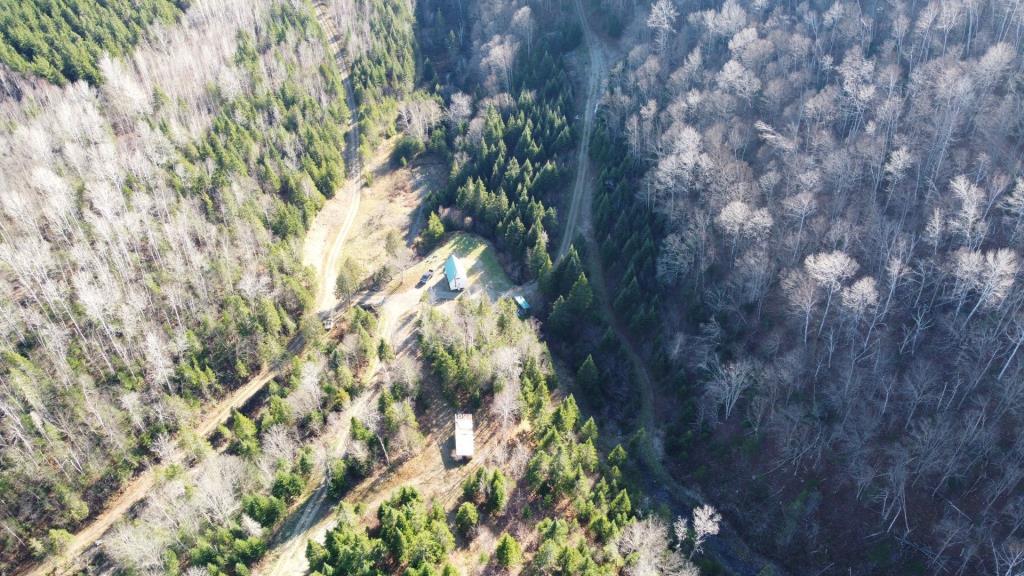 Réfugiez-vous dans l'immensité de la forêt dans ce chalet meublé se vendant 90 000 $