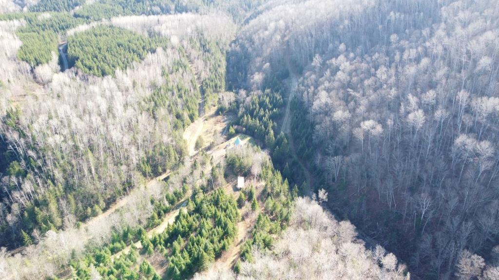 Réfugiez-vous dans l'immensité de la forêt dans ce chalet meublé se vendant 90 000 $