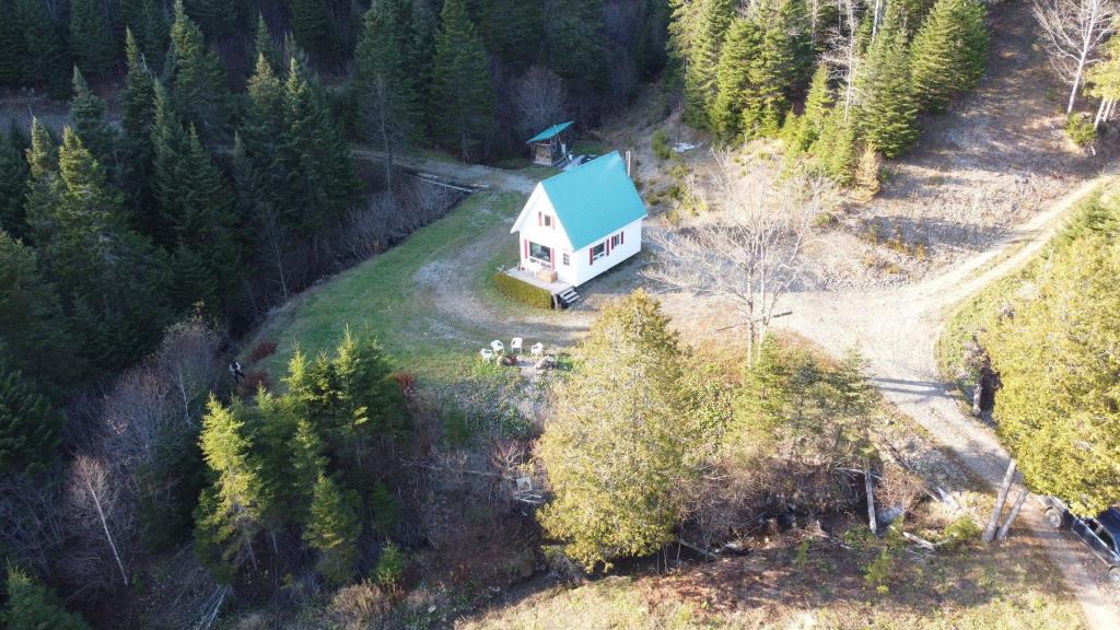 Réfugiez-vous dans l'immensité de la forêt dans ce chalet meublé se vendant 90 000 $