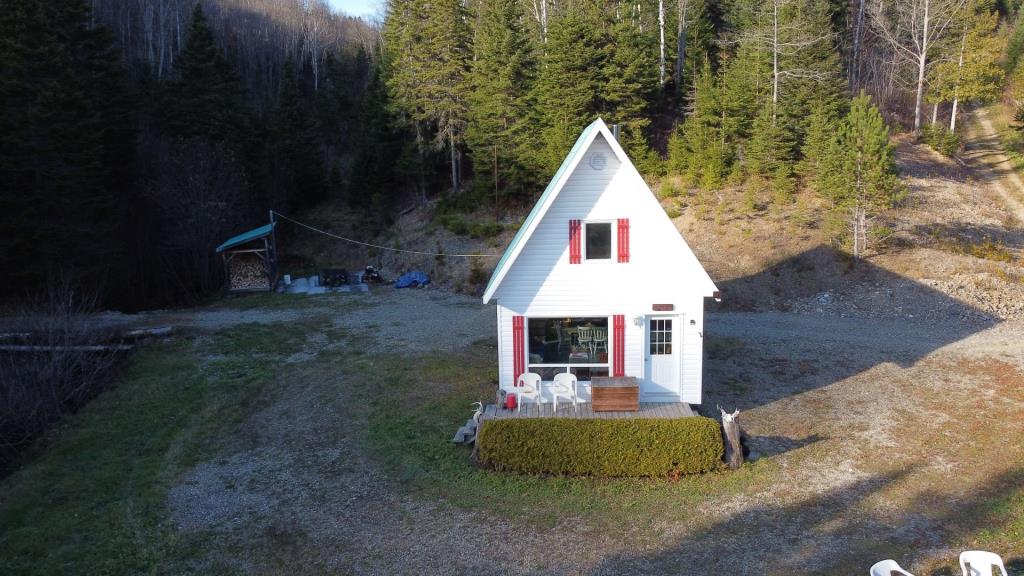 Réfugiez-vous dans l'immensité de la forêt dans ce chalet meublé se vendant 90 000 $