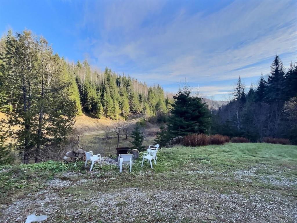 Réfugiez-vous dans l'immensité de la forêt dans ce chalet meublé se vendant 90 000 $