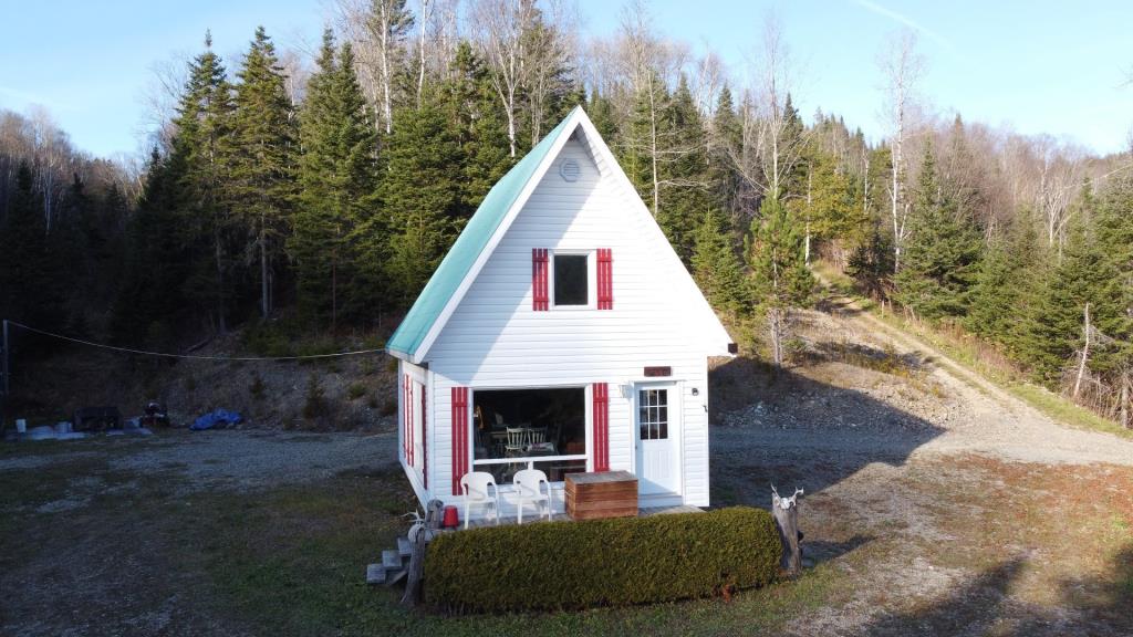 Réfugiez-vous dans l'immensité de la forêt dans ce chalet meublé se vendant 90 000 $