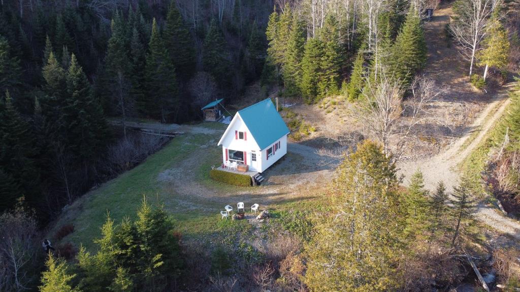 Réfugiez-vous dans l'immensité de la forêt dans ce chalet meublé se vendant 90 000 $