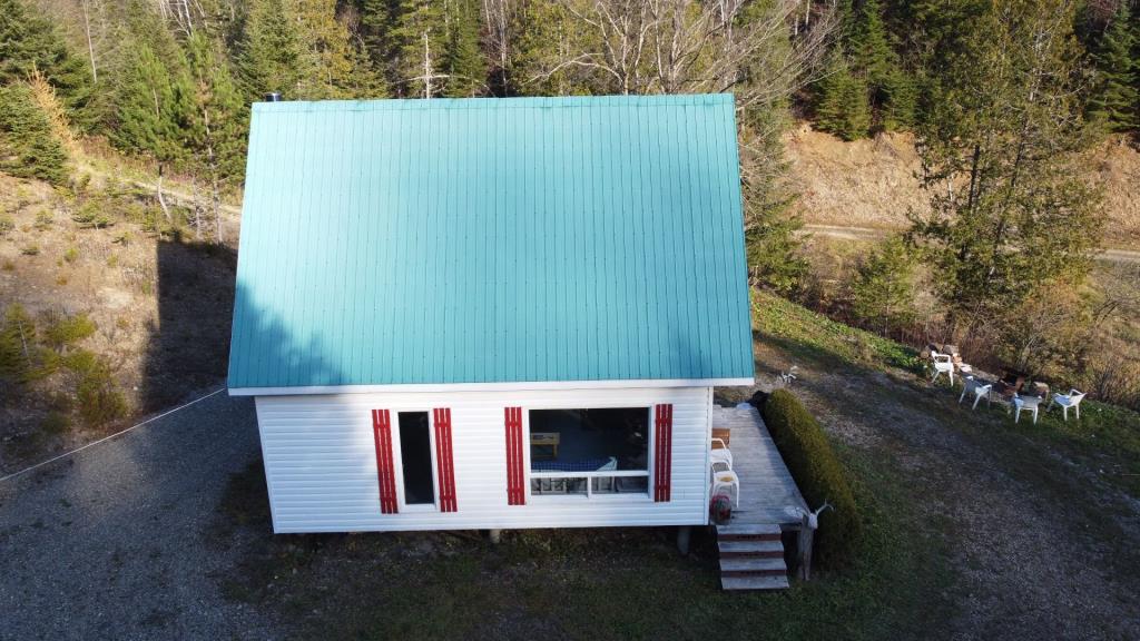 Réfugiez-vous dans l'immensité de la forêt dans ce chalet meublé se vendant 90 000 $