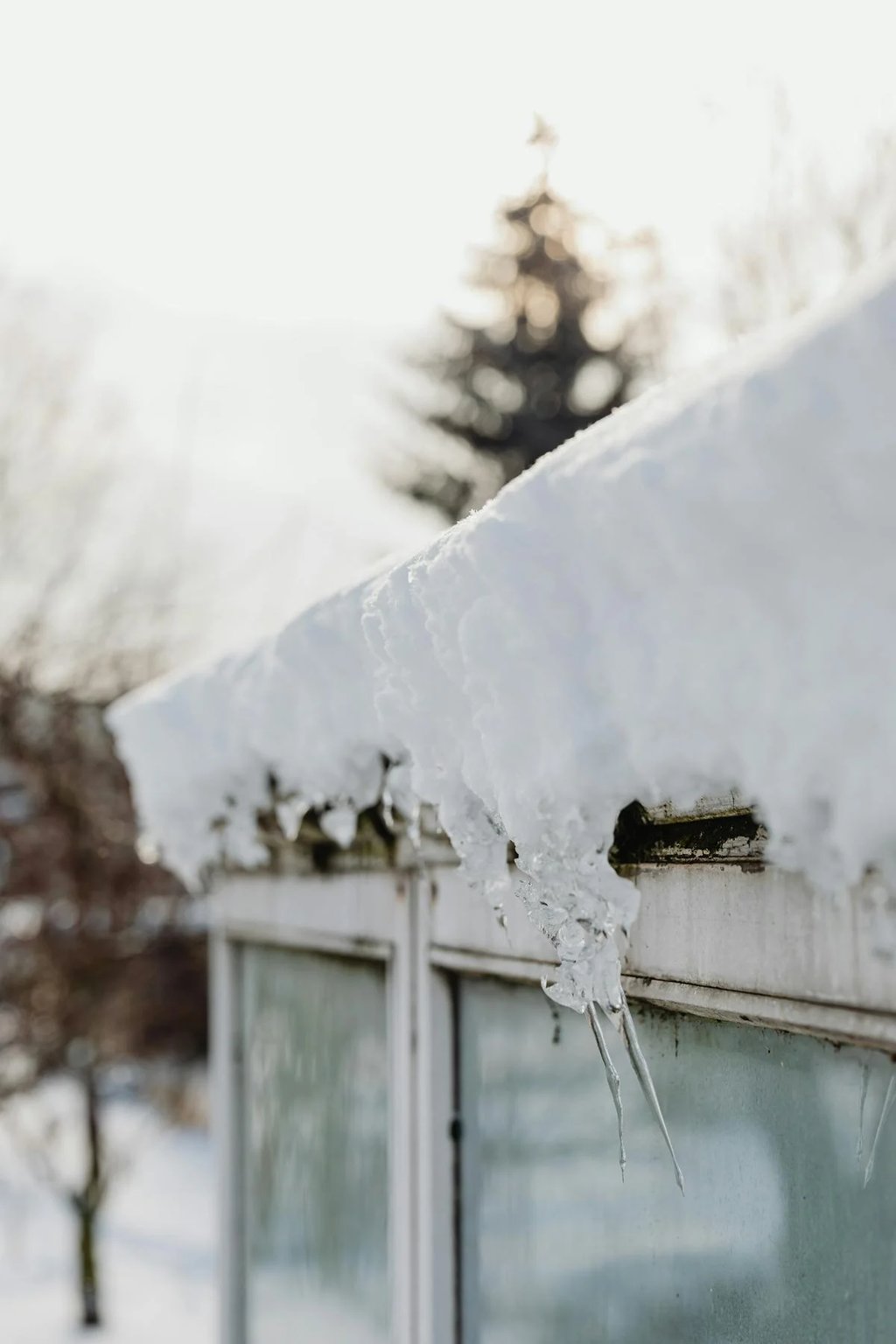 Avez-vous besoin de retirer la neige sur votre toit?