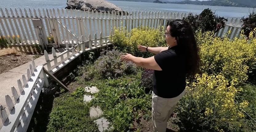 Cette femme a vécu pendant un an sur une petite île privée sans payer de loyer