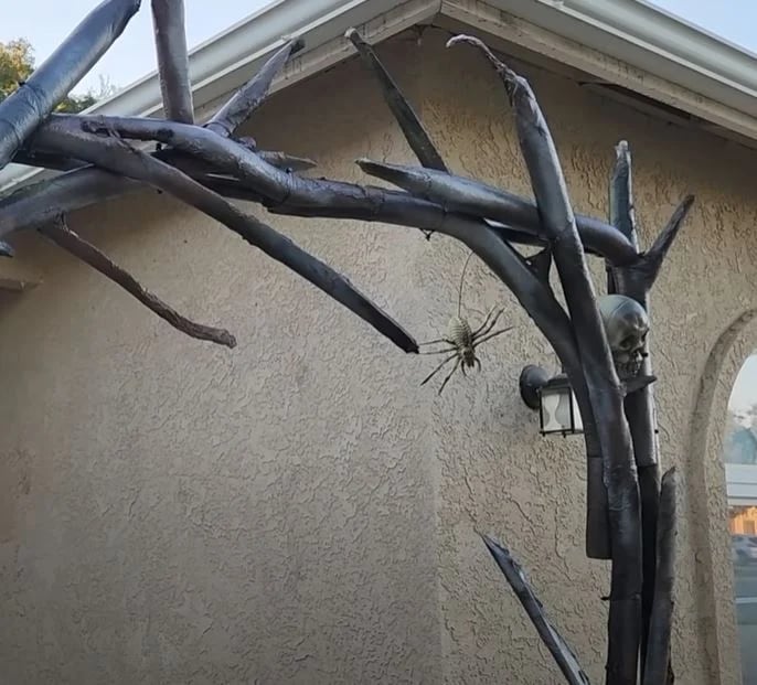 Créez une décoration d’Halloween originale avec des nouilles de piscine