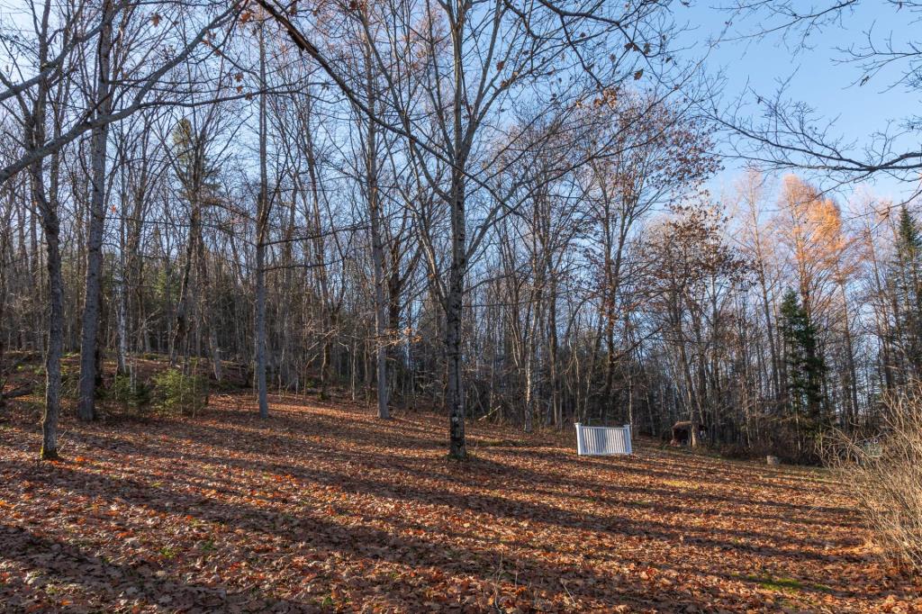 Vendue meublée à 295 000 $! Beauté d'antan camouflée par de vastes étendues boisées