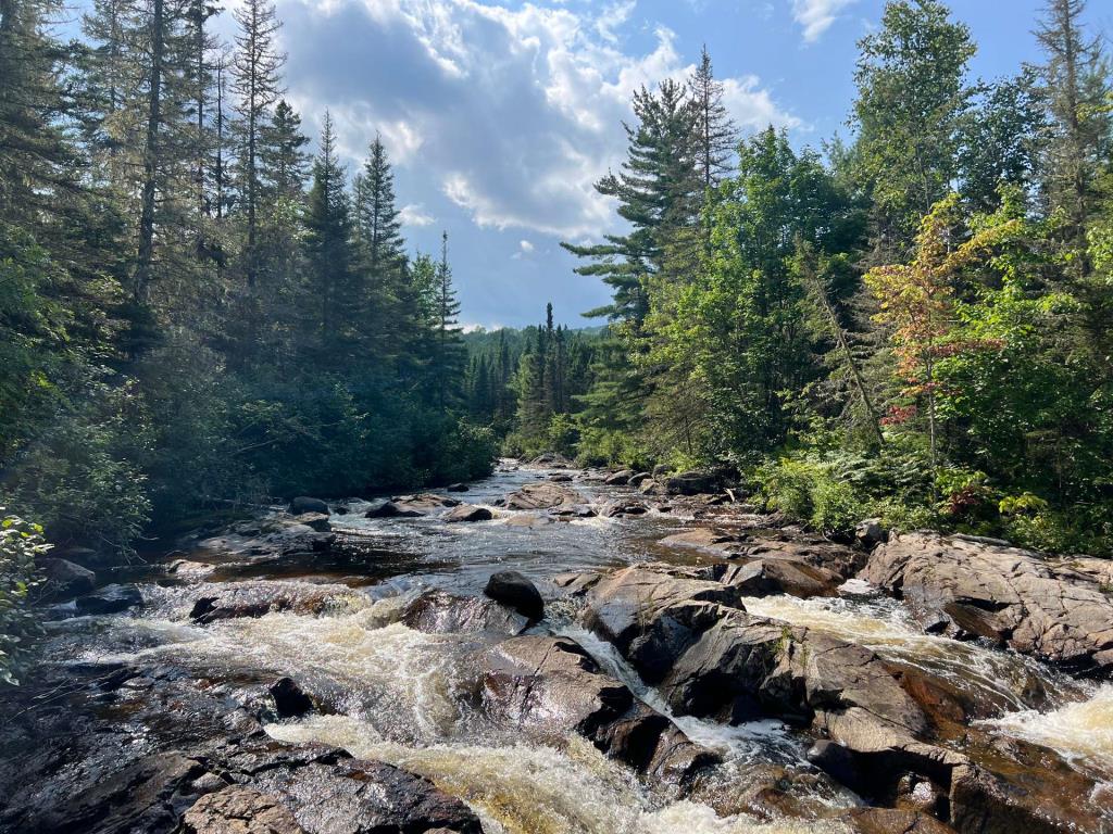 Paisible gîte riverain vendu meublé à 200 000 $