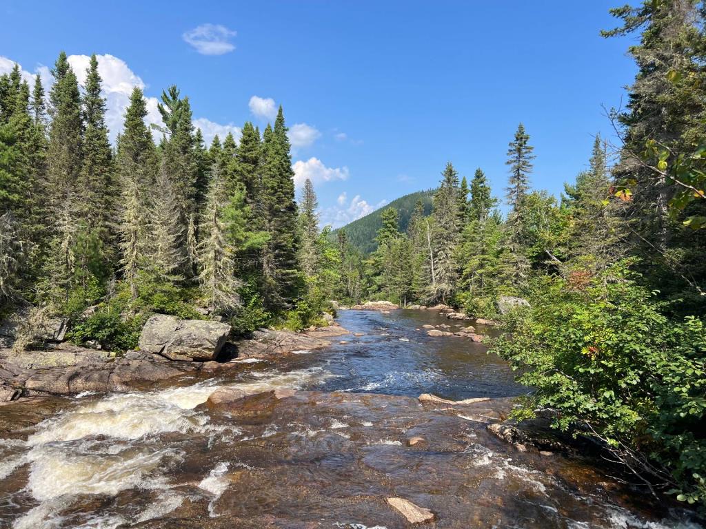 Paisible gîte riverain vendu meublé à 200 000 $