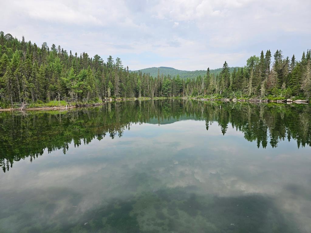 Paisible gîte riverain vendu meublé à 200 000 $