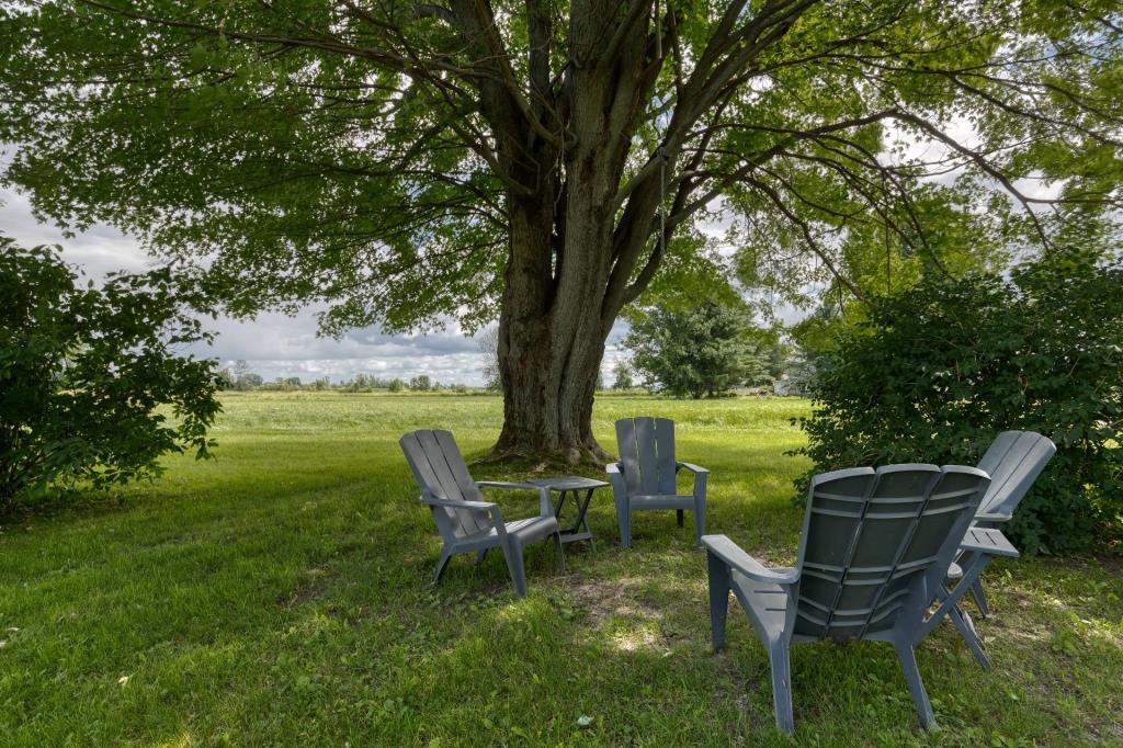 Belle centenaire au cachet rustique nichée dans un cadre idyllique