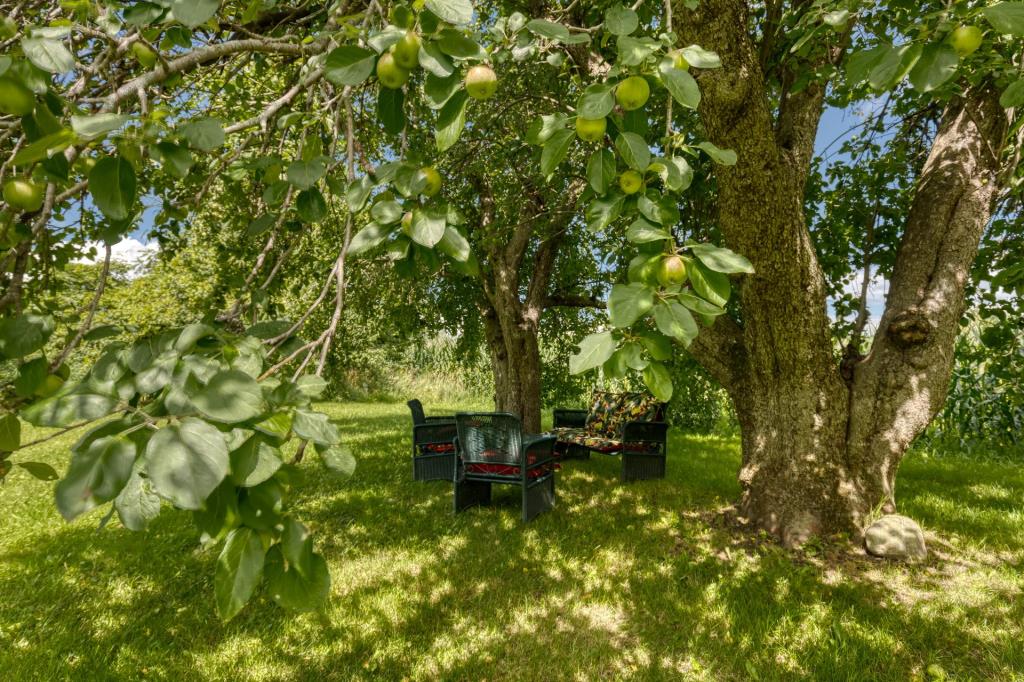 Belle centenaire au cachet rustique nichée dans un cadre idyllique